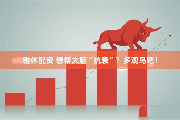 雅休配资 想帮大脑“抗衰”？多观鸟吧！